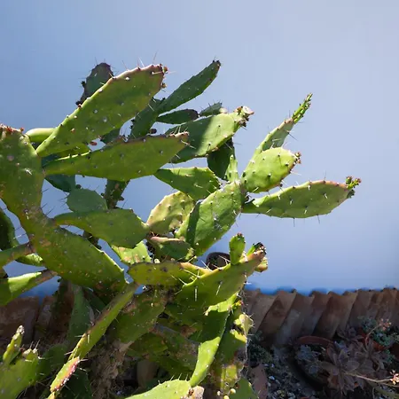 Villaggio Fiorina Apartman Capo Vaticano