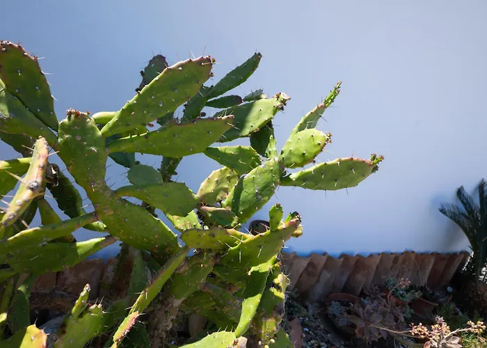 Villaggio Fiorina 公寓 梵蒂冈角